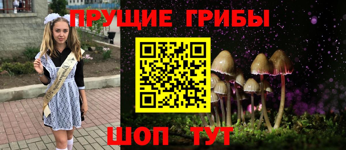 Галлюциногенные грибы Cubensis  Вход с VPN  Менделеевск  Галлюциногенные грибы Psilocybe 